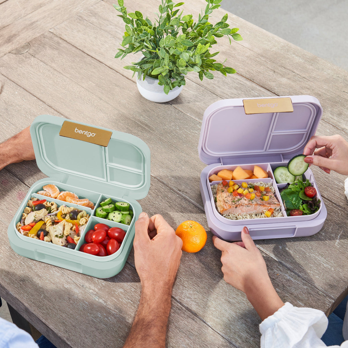 bentgo-modern-lunch-box-2-pack-y1 COSTCOBMCPRODUCTIMAGE_2.jpg